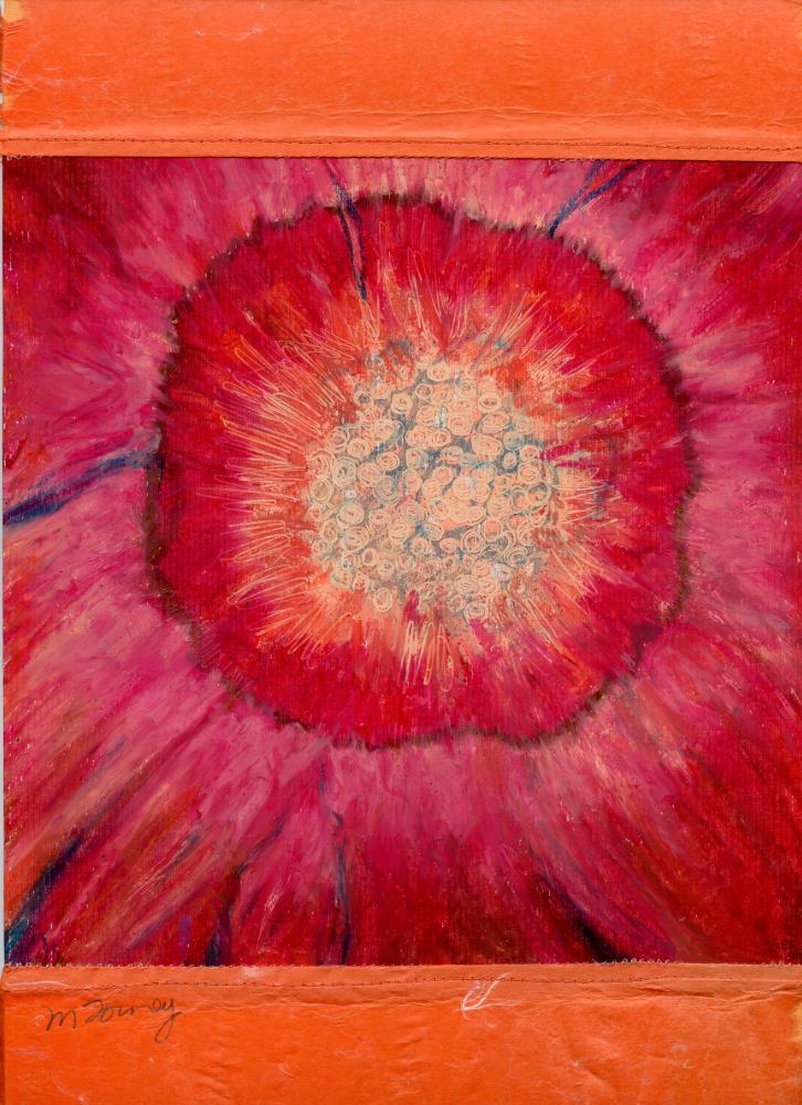 Patterns in Nature I