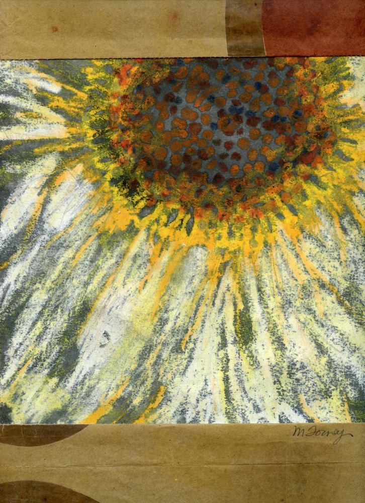 Patterns in Nature IV